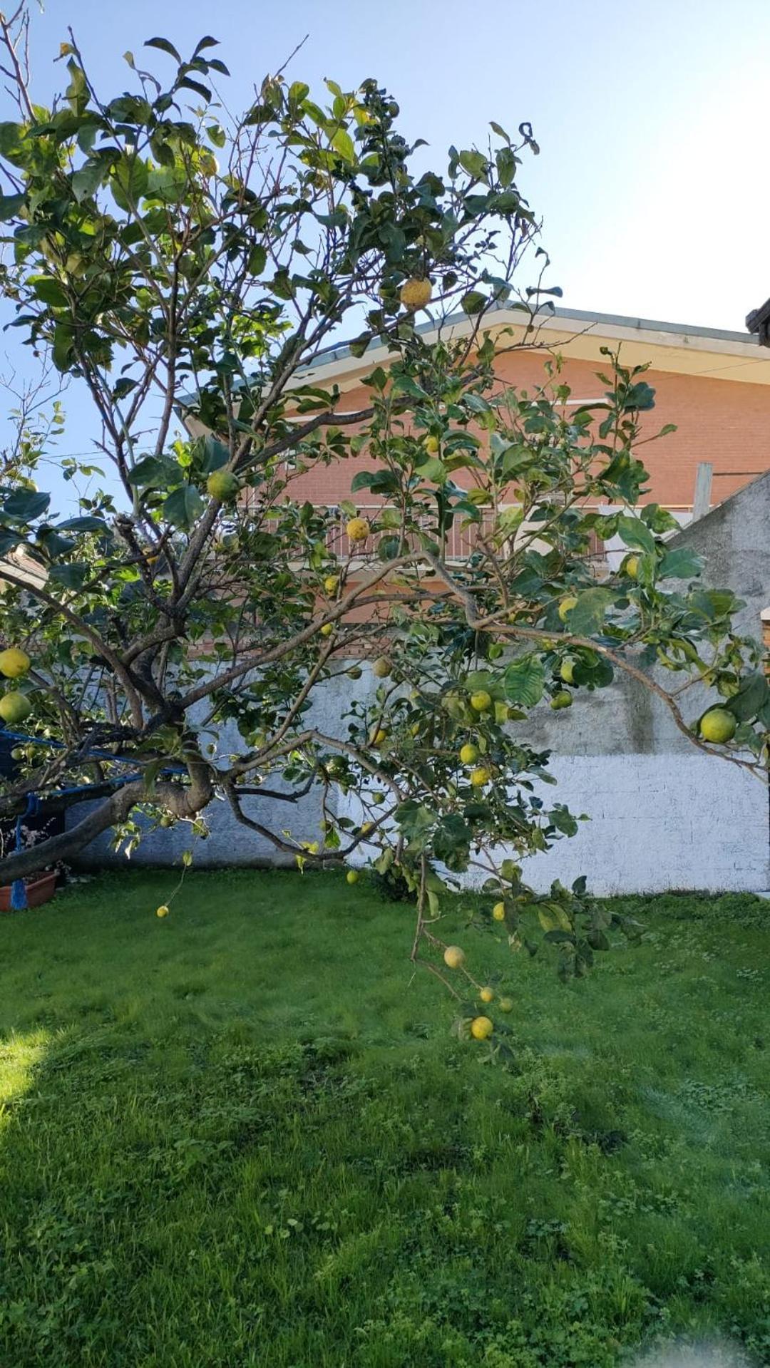 Ndiscialamu Casa Vacanze Palmi Dış mekan fotoğraf