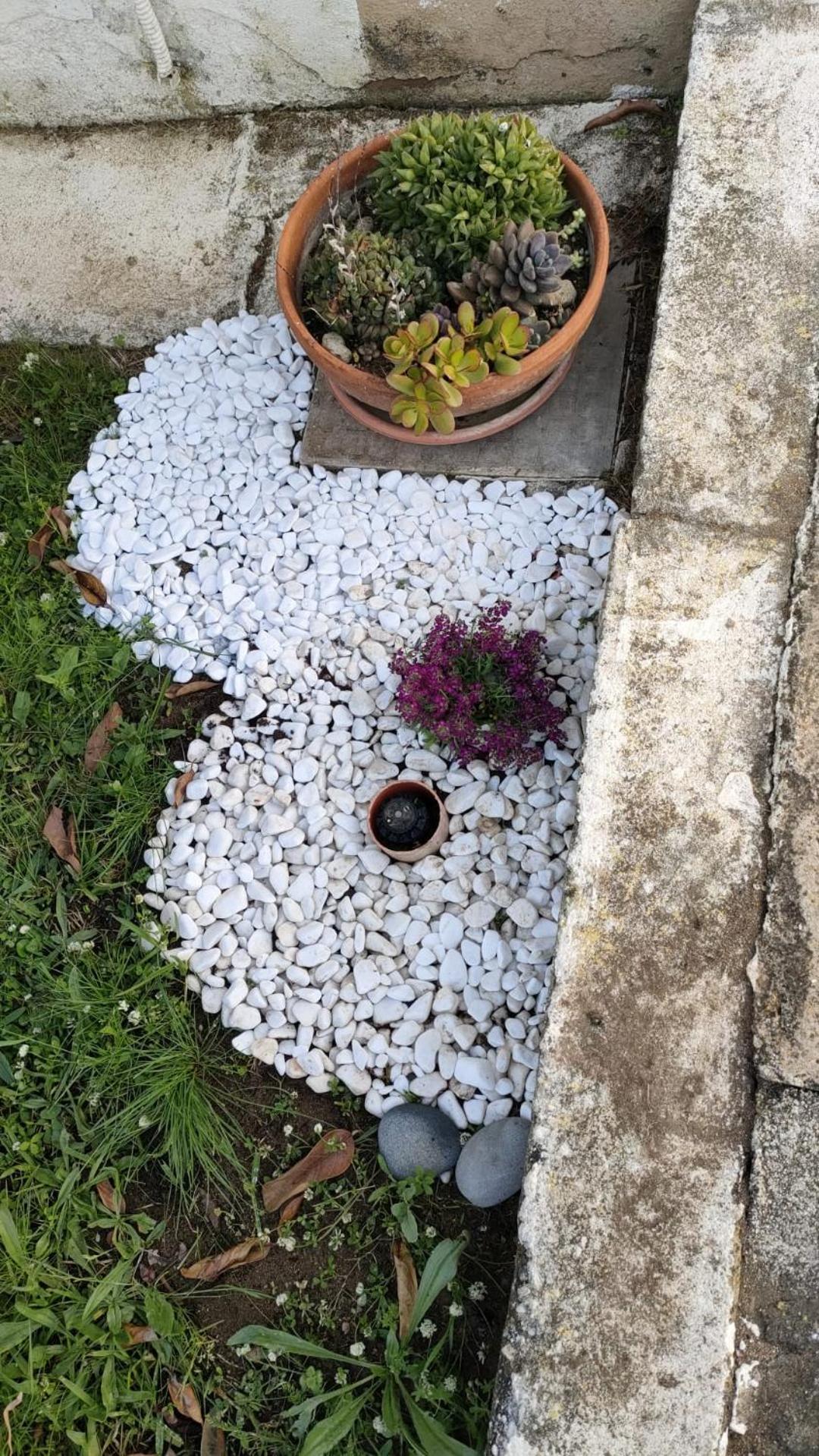 Ndiscialamu Casa Vacanze Palmi Dış mekan fotoğraf